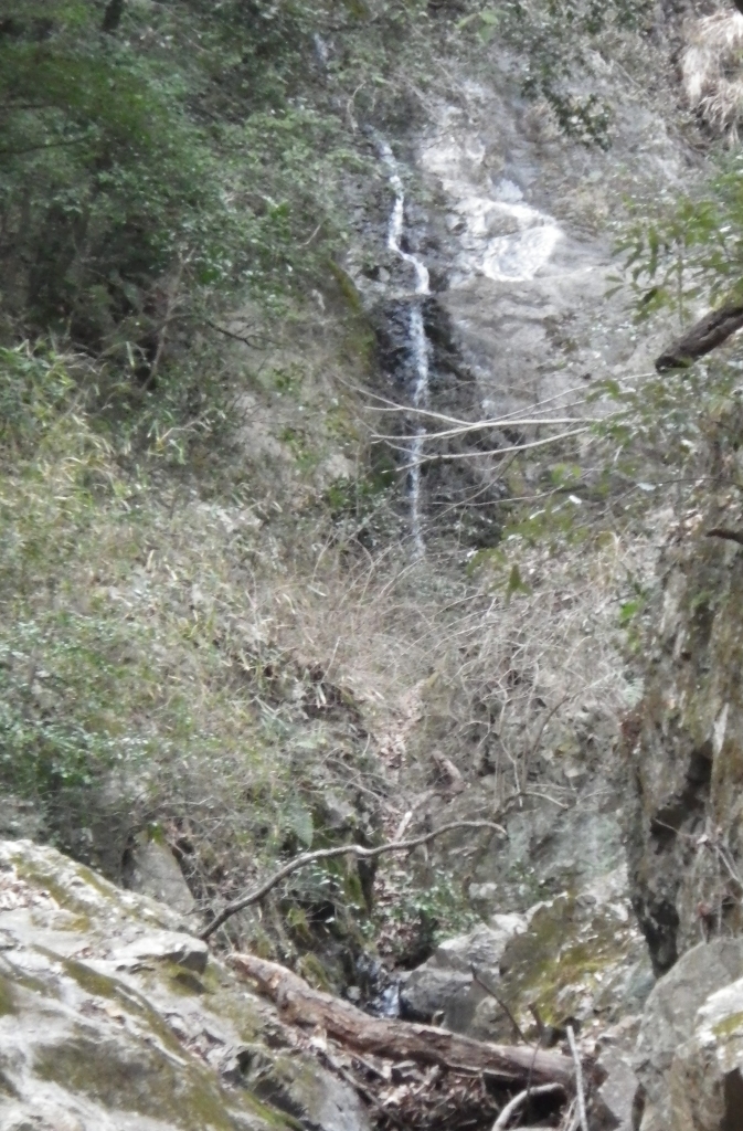 20210307_箕面 (48).JPG