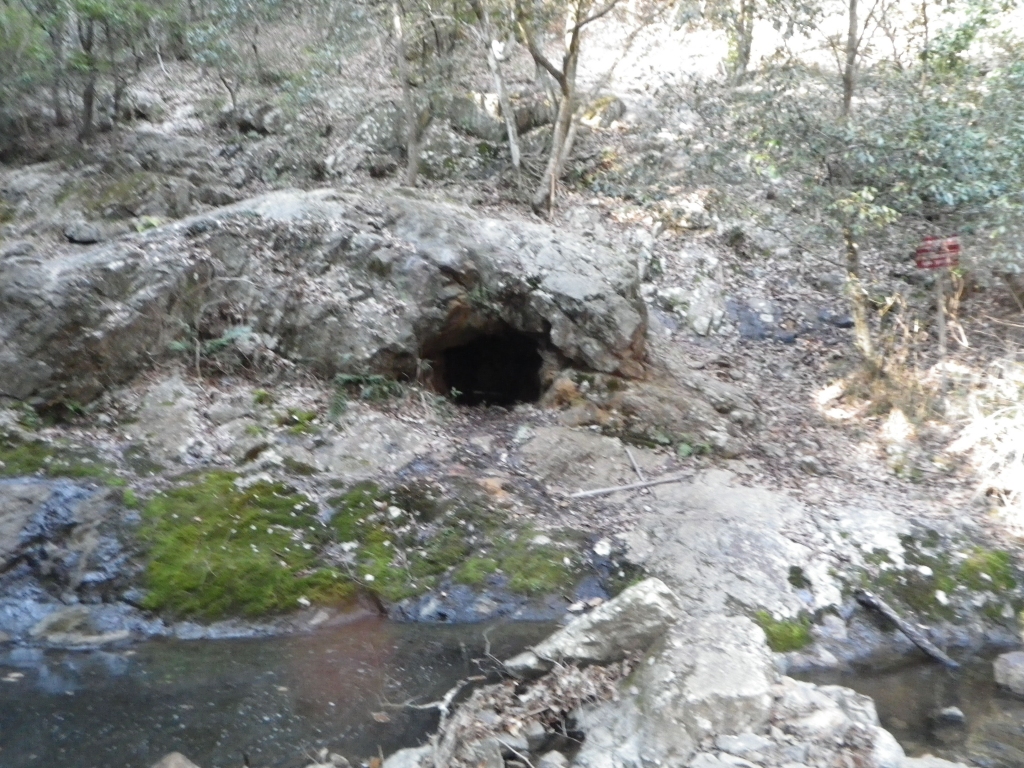 20210314_箕面 (58).JPG