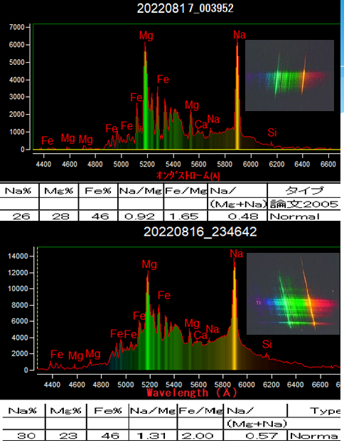 2022081617newst 前田氏.png