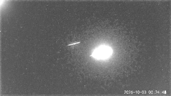 20261003002442  fireball　Zew small.jpg