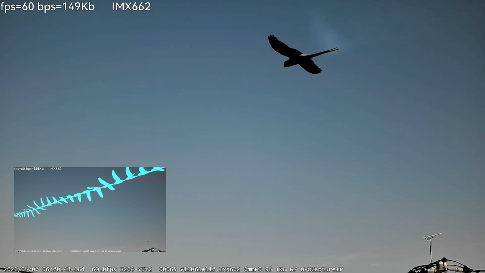 IMX662bird.jpg