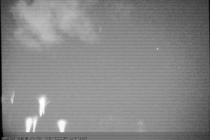 M20071112_033432_osakaHA___ 1030.jpg