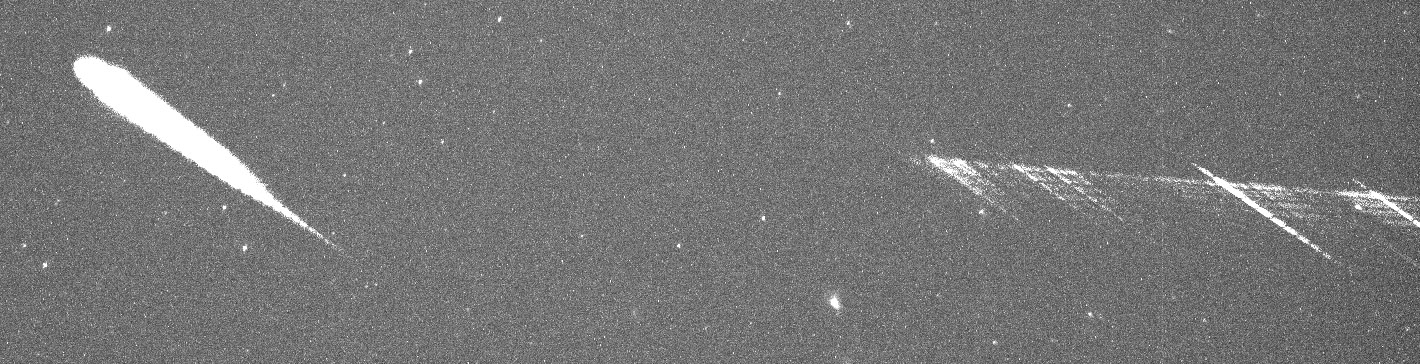 M20190211_001129_HD crop.jpg