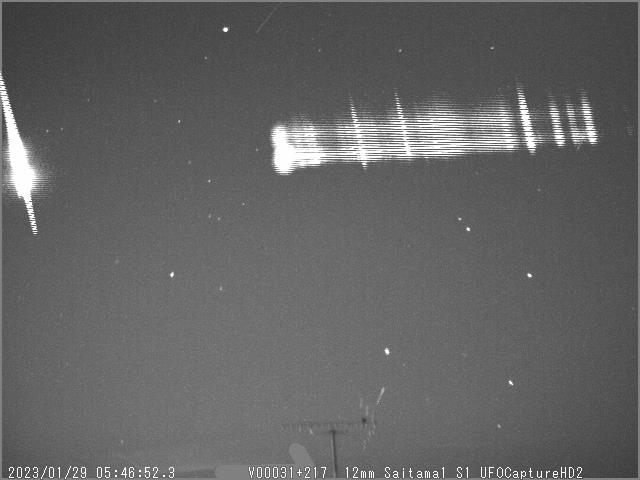 M20230129_054652_jpSaitama1_S1P.jpg