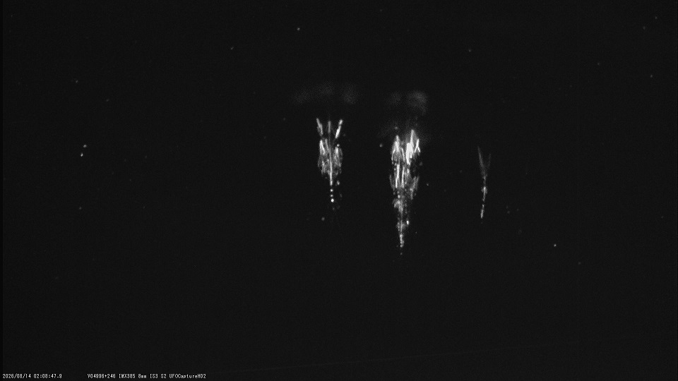 M20260814_020847a.jpg