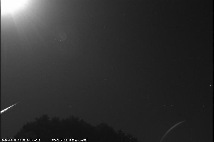 M20260831_025334_Nara03_W6P.jpg