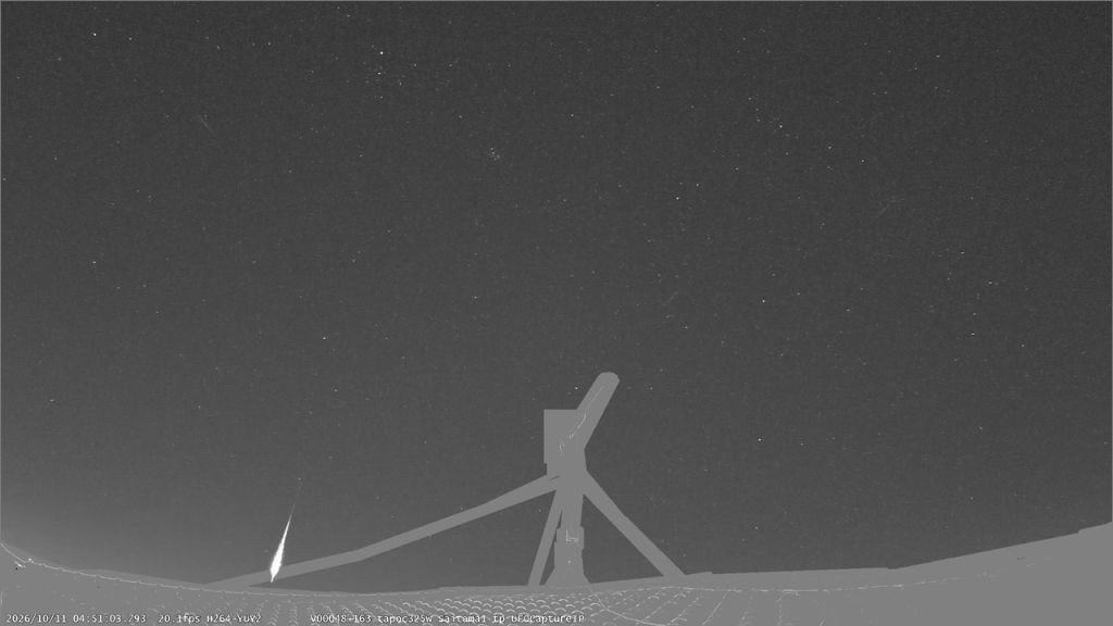 M20261011_045103_Saitama1_tpPm.jpg